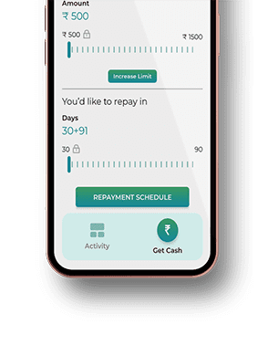 Manage your loans from your mobile